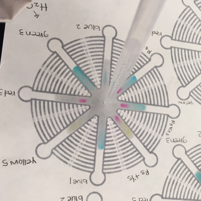 Photo of a circular diagram printed on paper. The diagram has eight spokes like a wheel. Clear liquid is being released from a clear dropper tube in the center of the circle. The liquid is spreading out inside the lines of the spokes, turning each spoke blue, pink, or yellow.